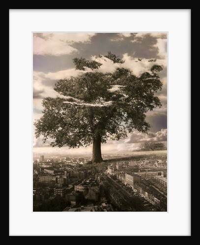 The Tree in Islington, 1978 by Hag Hag