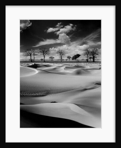 Acid Rain, 1988 by Hag Hag