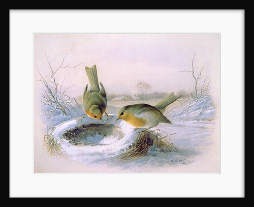 Last Year's Nest, 1886 by Harry Bright