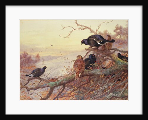 Blackgame in Winter by Archibald Thorburn