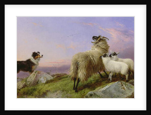 Collie, Ewe and Lambs by Richard Ansdell