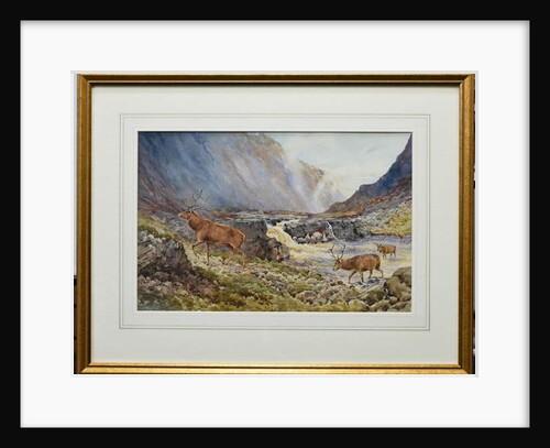 Deer Crossing the River Coe by Andrew Scott Rankin