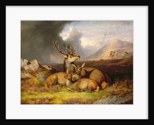 Highland Felicity, Ben Lebrig in the Background by James Giles