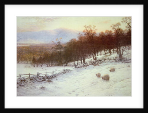 Snow Covered Fields with Sheep by Joseph Farquharson