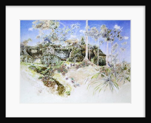 Ruined Temple, Tikal, Guatemala, 1984 by James Reeve