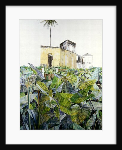 Ruin in a Swamp, Haiti, 1971 by James Reeve