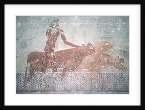 Cattle fording a canal in the Mastaba Chapel of Ti, Old Kingdom by Egyptian 5th Dynasty