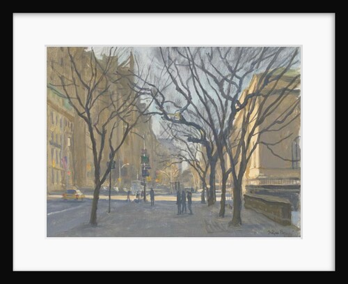 Fifth Avenue and the Met, 2010 by Julian Barrow