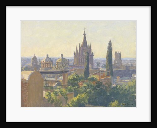 Rooftops of San Miguel Allende, 2005 by Julian Barrow