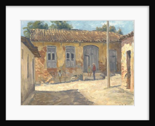 Trinidad, Cuba, 2010 by Julian Barrow