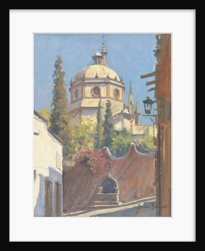 San Miguel Allende, 2005 by Julian Barrow