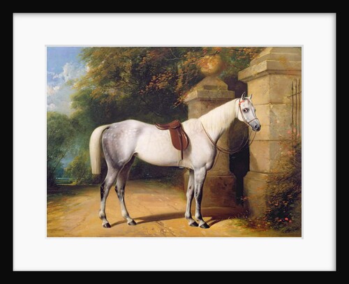 A Grey Horse by Park Gates, 1851 by Henry Barraud