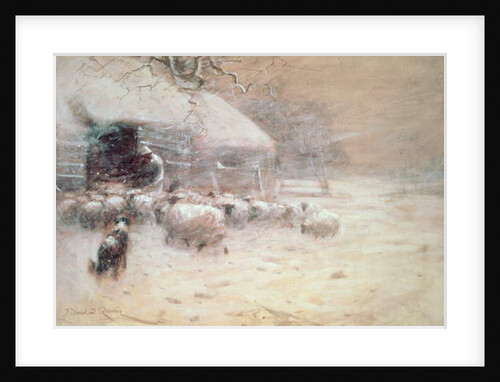 Sheep - Safe Haven by David Robertson