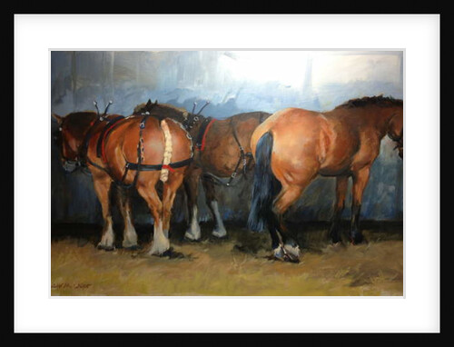 Horses - Heavy Horses - Chertsey Show, 2012 by Jennifer Wright