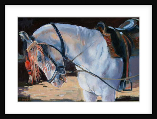 Marwari Horse, Rajasthan, 2010 by Jennifer Wright