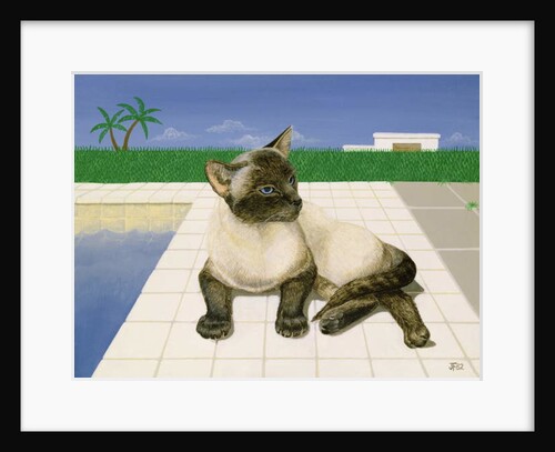 Siamese cat by a swimming pool by Joan Freestone