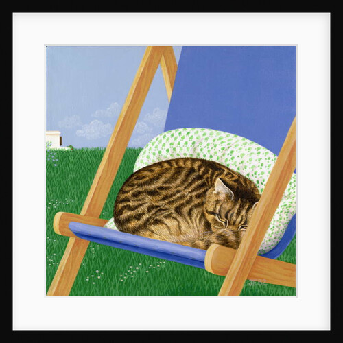 Tabby cat asleep in a deck chair by Joan Freestone