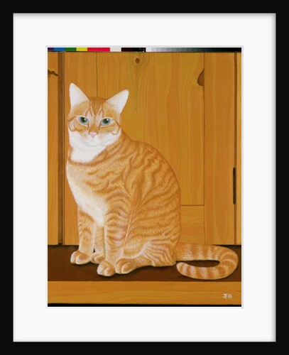 Marmalade cat by a door by Joan Freestone
