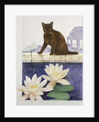 Burmese by Joan Freestone
