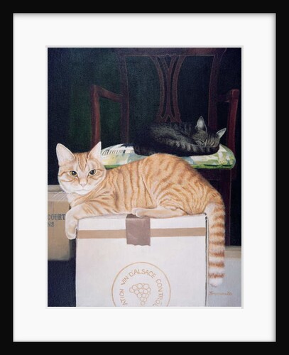 Mango with Molyneux by Joan Freestone