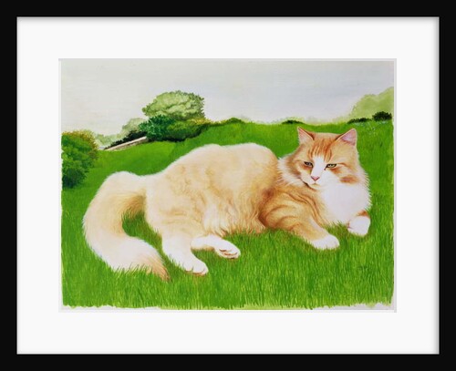 Ginger Cat in Field by Joan Freestone