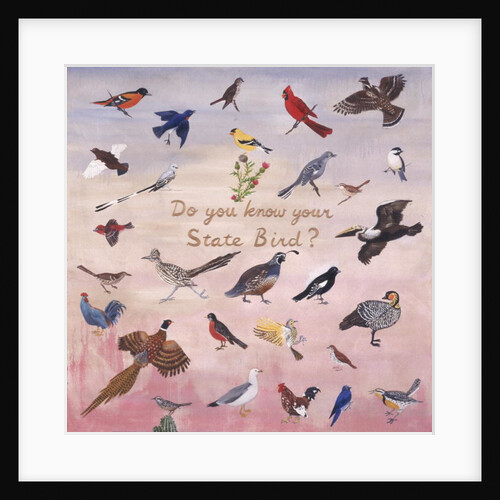 Do You Know Your State Bird?, 1996 by Joe Heaps Nelson