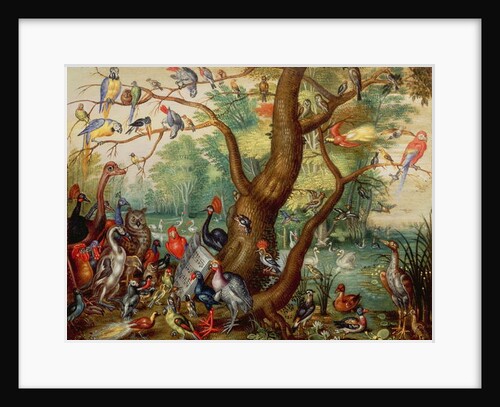 Concert of Birds by Jan van the Elder Kessel