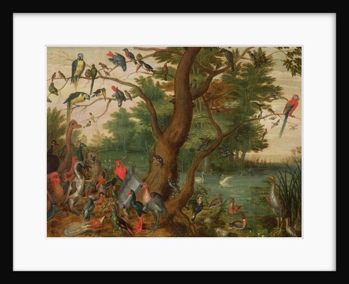 Concert of Birds by Jan van the Elder Kessel