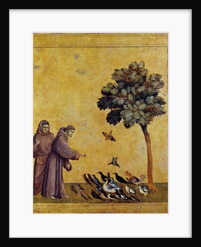 Saint Francois of Assisi preaching to the birds by Giotto