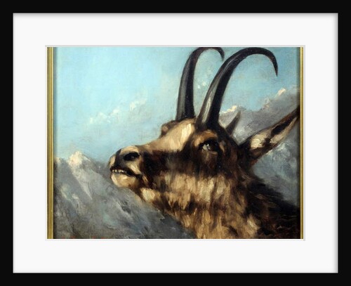 Head Of Chamois, 19th century by Gustave Courbet