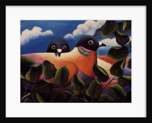 Bill and Coo by Jerzy Marek
