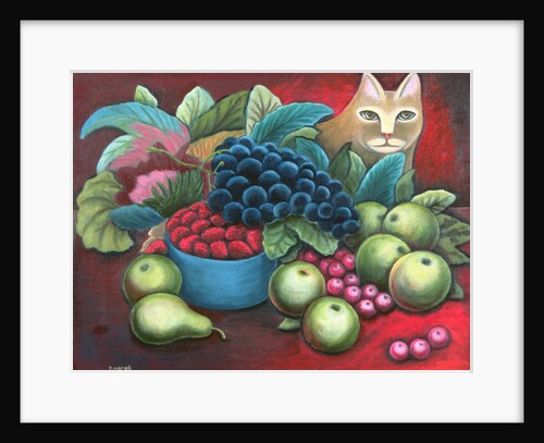 Cat and Fruit by Jerzy Marek