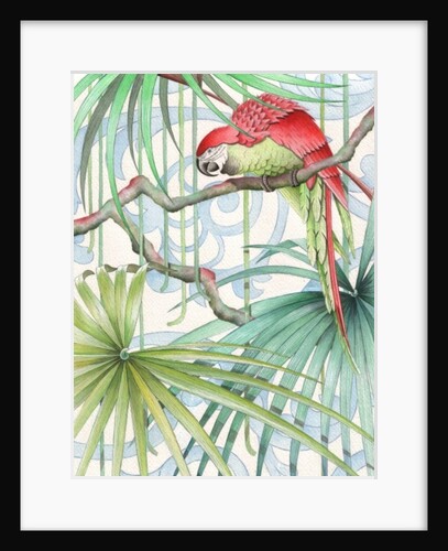 Parrot, 2008 by Jenny Barnard