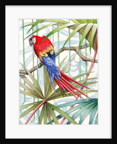 Parrot, 2008 by Jenny Barnard