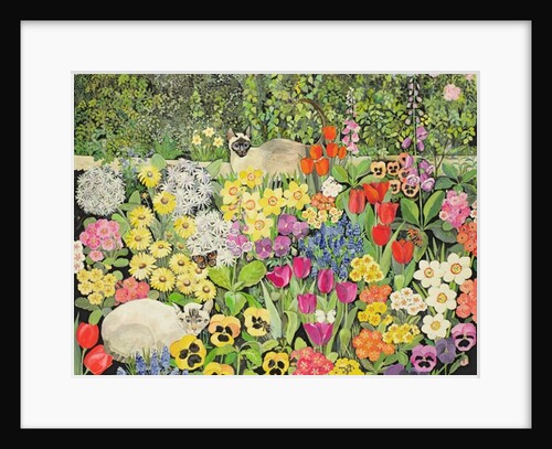 Spring Cats by Hilary Jones