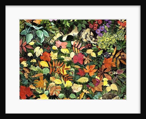 Autumnal Cat by Hilary Jones