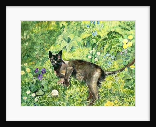 Golfing Cat by Hilary Jones