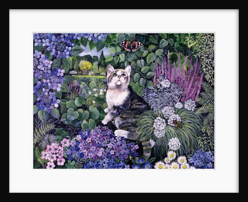 Bubbles by Hilary Jones