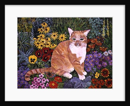 The Carpenter's Cat by Hilary Jones