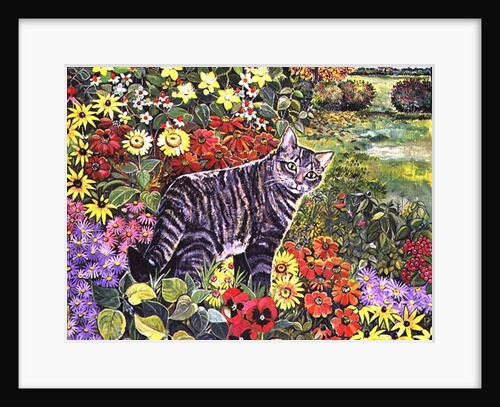 Going My Way? by Hilary Jones