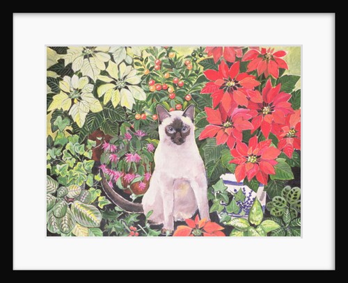 Poinsettias by Hilary Jones