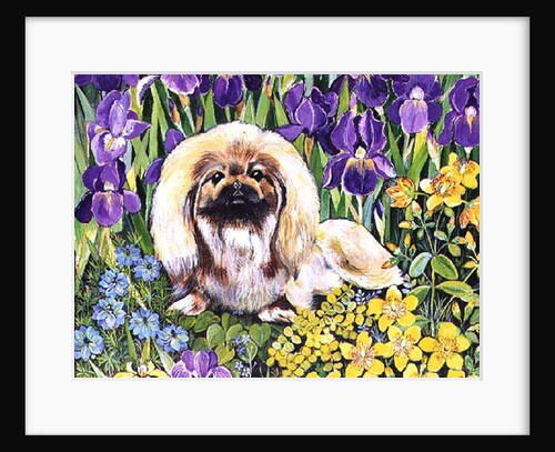 Wilma by Hilary Jones