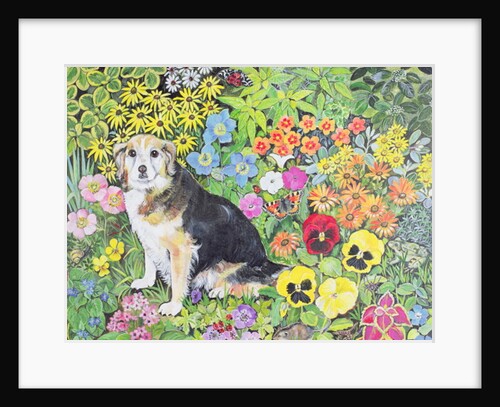 Caylie in the Border by Hilary Jones