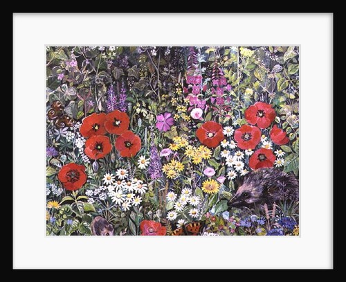 Hedgehog amongst the Flowers by Hilary Jones