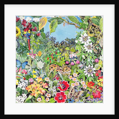 South American Cat by Hilary Jones