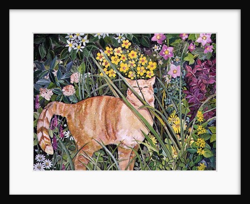 Cat and Long Grass, 1996 by Hilary Jones