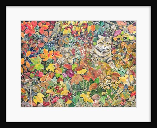 Tabby in Autumn, 1996 by Hilary Jones