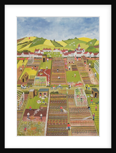 Allotments by Judy Joel