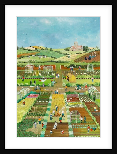 Allotments, 2012 by Judy Joel
