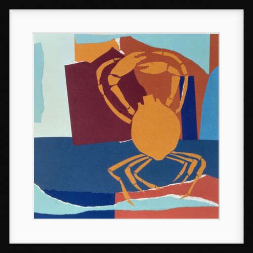 Spider Crab by John Wallington
